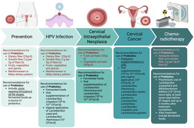 Effects of prebiotics, probiotics, and synbiotics on the prevention and treatment of cervical cancer: Mexican consensus and recommendations